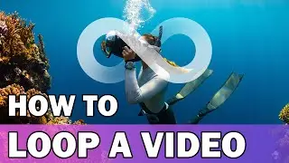 How to Easily Loop a Video for TikTok, Instagram, and More - 2023 VideoProc Converter