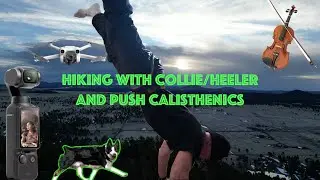 Hiking with a Collie/Heeler (Buddy) and Push Calisthenics Session