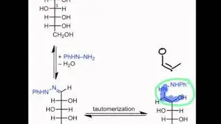 Osazone Formation