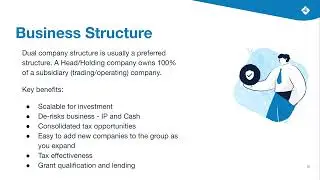 Tax Strategies for Small Business Success