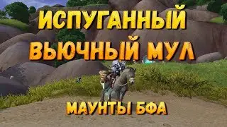 Как получить или Где падает маунт Испуганный вьючный мул. Изжеванная уздечка испуганного мула вов.