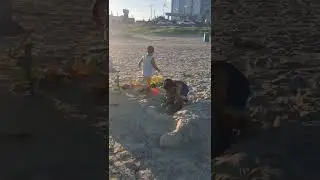 How to build and sculpt a sand turtle? Beach day fun!