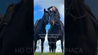 Как вам погодка? 🤣 #конныйблог #horse #конныйтуризм #лошади #конныепрогулки #галоп #equestrian