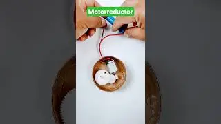 Motorreductor con Engranajes de Plástico