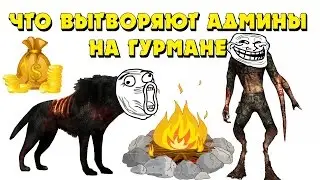 Stalker Online - ПЬЯНЫЕ АДМИНЫ