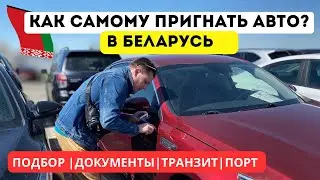 How to drive a car from Georgia to Belarus on your own. Poti port, documents, re-export, border w...