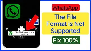 WhatsApp The File Format is Not Supported | How to Fix The File Format is Not Supported Problem