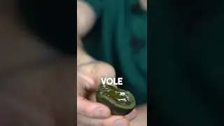 Stoleté vejce 🥚