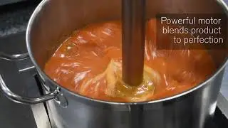 Globe GIB ImmersionBlender VideoMain 1