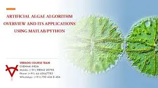 ARTIFICIAL ALGAE ALGORITHM OVERVIEW AND ITS APPLICATIONS USING MATLAB-PYTHON