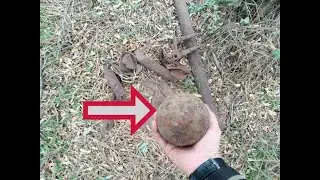 Коп металла возле поля НАШЕЛ ЯДРО!