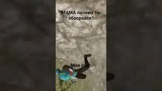 22 января 2024 г.