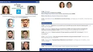 Webinars SEBBM - Elevator Pitch 4