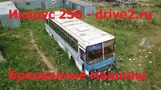 Смерть Икаруса 256 - drive2.ru - Брошенные машины