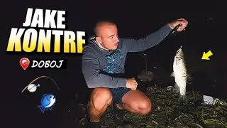 LUDA AKTIVNOST RIBE NA BOSNI - ODLIČNI ULOVI