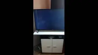 Live Stream