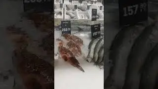 Цены на рыбу в магазине Метро.