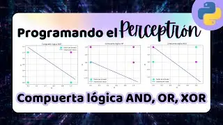 Programando el Perceptrón paso a paso en Python 🤖🧠