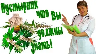 🌿 ПУСТЫРНИК ✅ ПОЛЬЗА и 🔴 ВРЕД для 💊 ЗДОРОВЬЯ: Все, что вы хотели знать о его свойствах и применении!