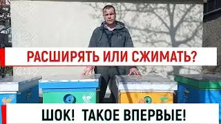 Расширять или сжимать?  ШОК! ТАКОЕ ВПЕРВЫЕ!