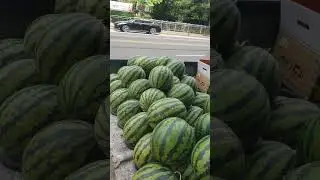 #asmr Water 🍉  in South Korea #new #delicious #yummy #satisfying #ytshorts #fyp #shorts