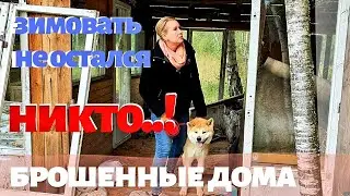 СТАРАЯ ДАЧА | Сату опять убежал. Брошенные дома. Кому совет? №59