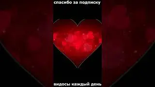 сф устроил хейт шоу антимагу 