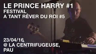 LE PRINCE HARRY #1 / Festival A Tant Rêver Du Roi #5 / 23-04-16 @La Centrifugeuse, Pau