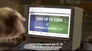 Compare the Meerkat Advert