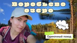 Vorobyevo Lake. Solo hike in the Priozersk district.