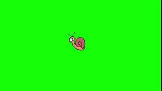 WTH snail Green Screen