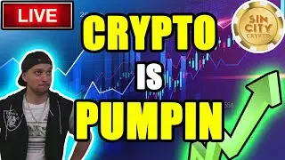 Algorand (ALGO) Breakout! Is Shiba Inu (SHIB) dead?