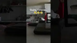 3 июля 2024 г.