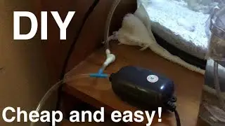 DIY: HOW TO USE ONE AIR PUMP FOR TWO AQUARIUMS!