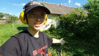 Розчистили покинутий садок. Посадили кавуни на Житомирщині