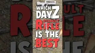 What is the Best Assault Rifle In DayZ✅