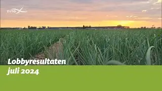 Lobbyresultaten ZLTO juli 2024
