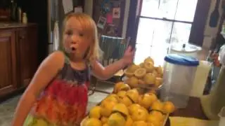 Lemonade for a Cure - JDRF OneWalk