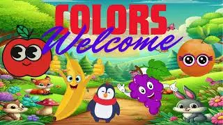 Colors and animations
