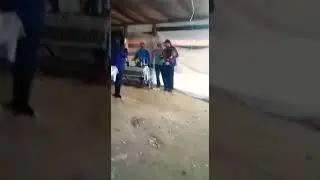 НОВАЯ ДАРГИНСКАЯ ПЕСНЯ ГАДЖИ ЗИЛЬМУКЬ
