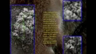 Life on Mars: Phoenix has found microorganisms on Mars !