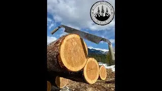 Cabin building tutorial: Hand peeling a log for your log cabin.#logbuilding #cabinbuild #bclogschool