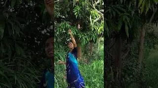 kachi keri nu sarbat #viralvideo #food #sarbathrecipe #shorts