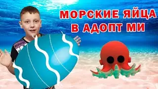 Морские яйца в Адопт ми. Обновление в Adopt me Roblox.