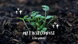 My first Composting Outcome | Creating Black Gold #composting #gardening