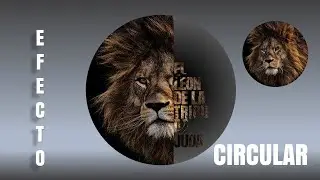 COMO RECORTAR IMAGEN CIRCULO PERFECTO EN POWER POINT