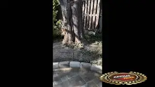Appius Paver