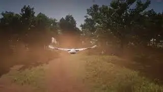 Fly with a Owl from Midnight to Train - RDR2