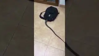 18+ детям не смотреть!