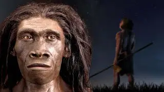 A Brief History Of The Most Successful Human Species: Homo Erectus